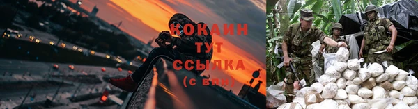 jwh Абаза