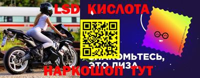 амф Гатчина