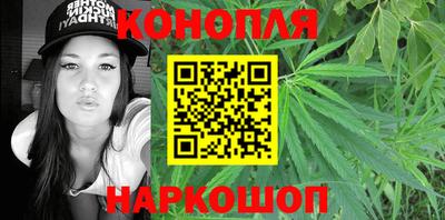 амф Гатчина