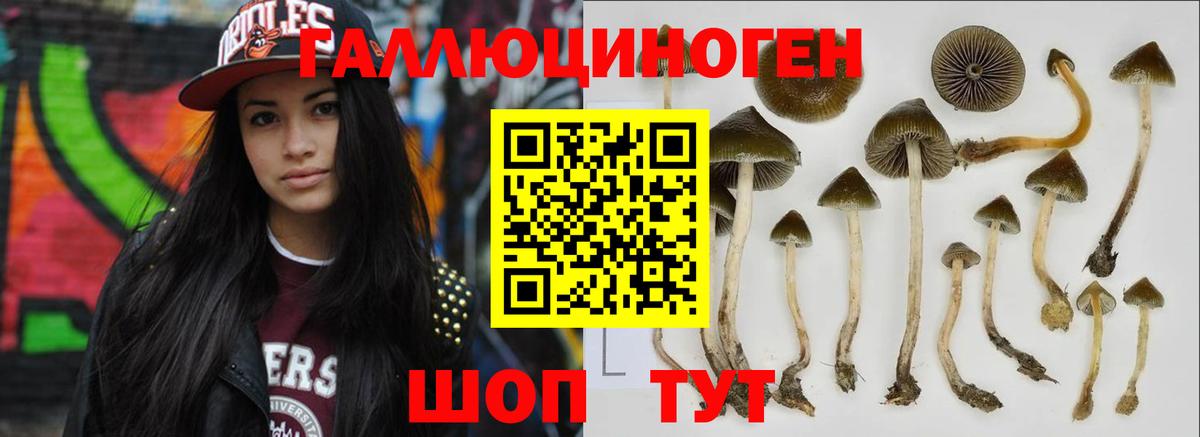 Псилоцибиновые грибы мухоморы  Вход с VPN  Сарапул 